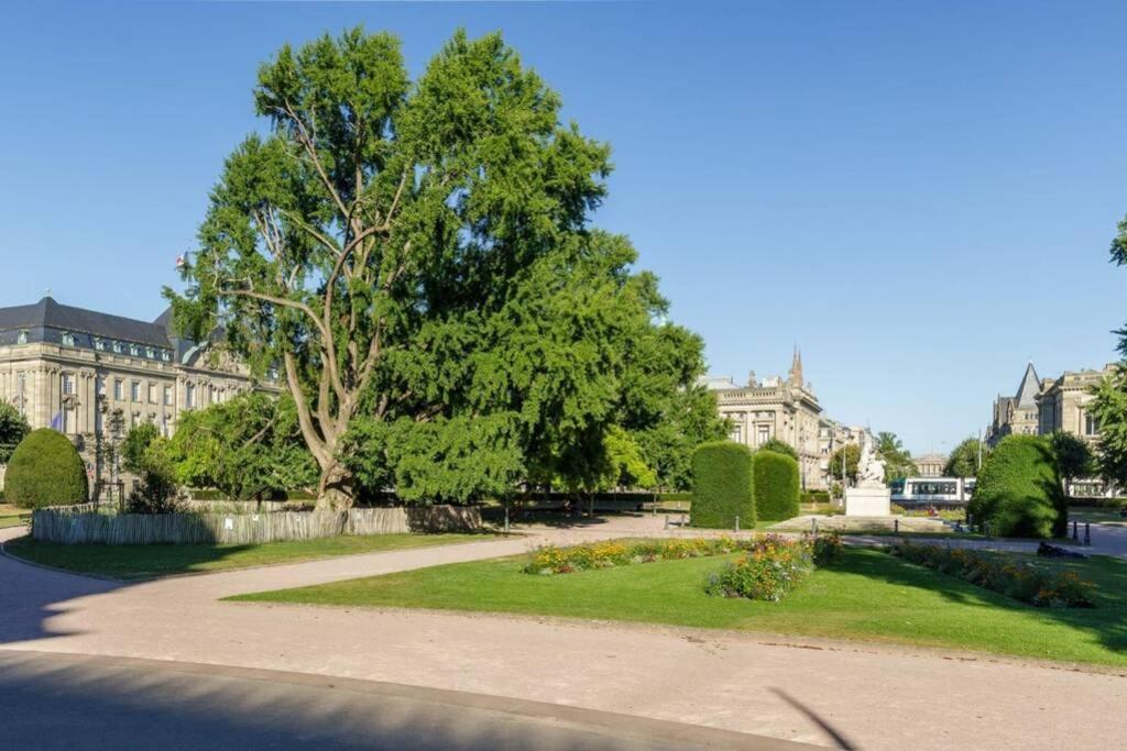 Magnifique Appartement Au Coeur De La Petite France Strasbourg Ngoại thất bức ảnh